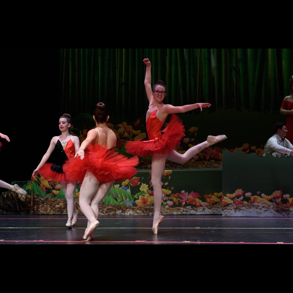 Pointe costume